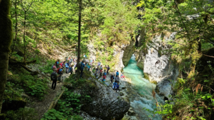 Naravovarstvena ekskurzija po Koželjevi tematski poti v Kamniško Bistrico